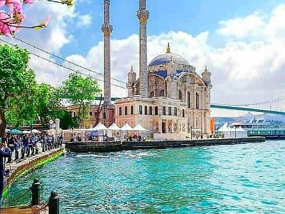 Alger ⇄Istanbul