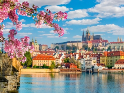 Alger ⇄ Prague
